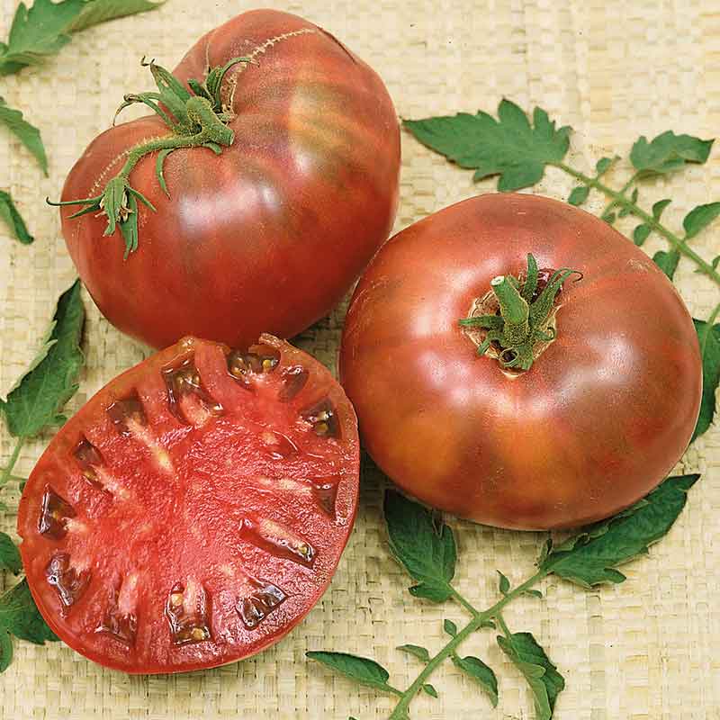 A ripe, dark purple Cherokee Purple tomato with green shoulders on a burlap background.