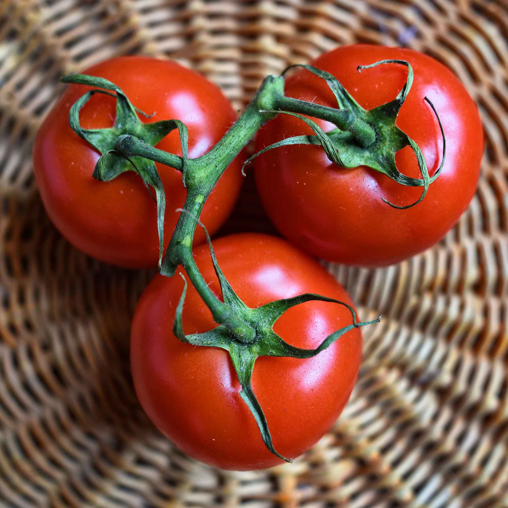 A cluster of Floradade red tomatoes with green stems in a basket.