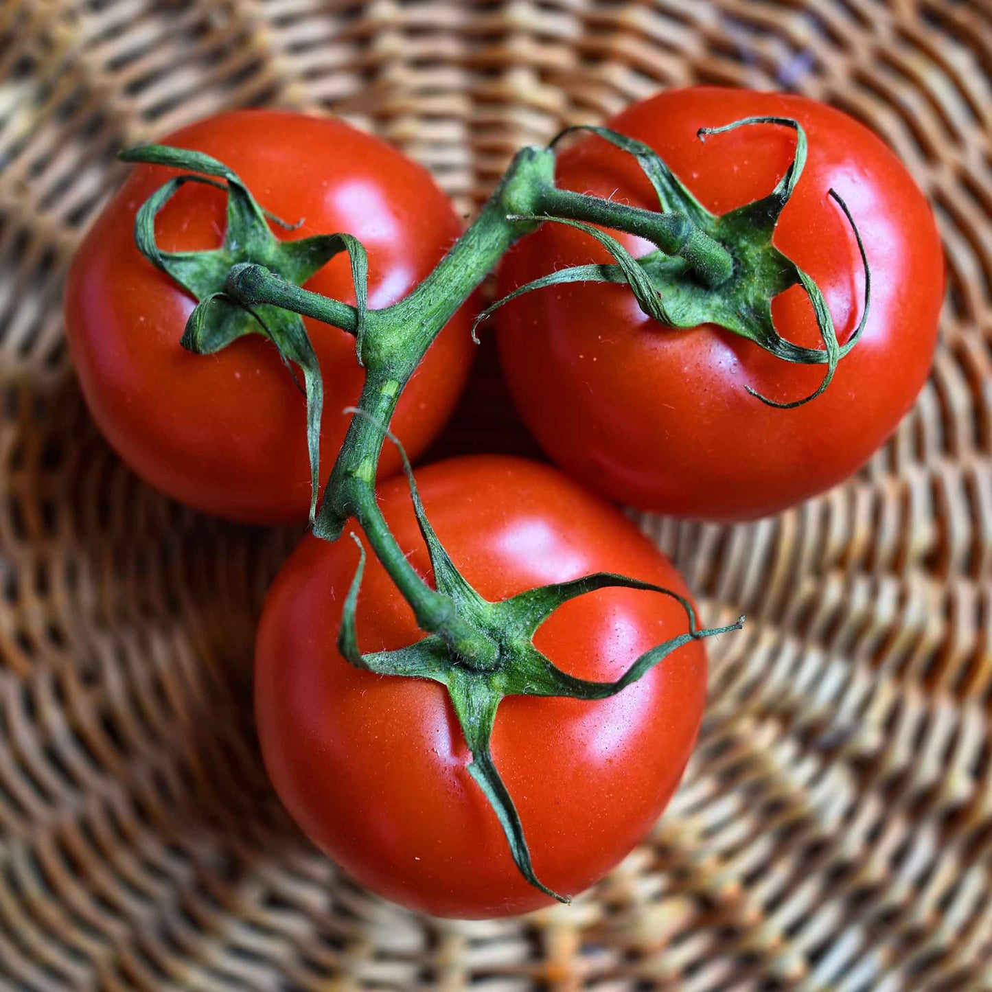 A cluster of Floradade red tomatoes with green stems in a basket.