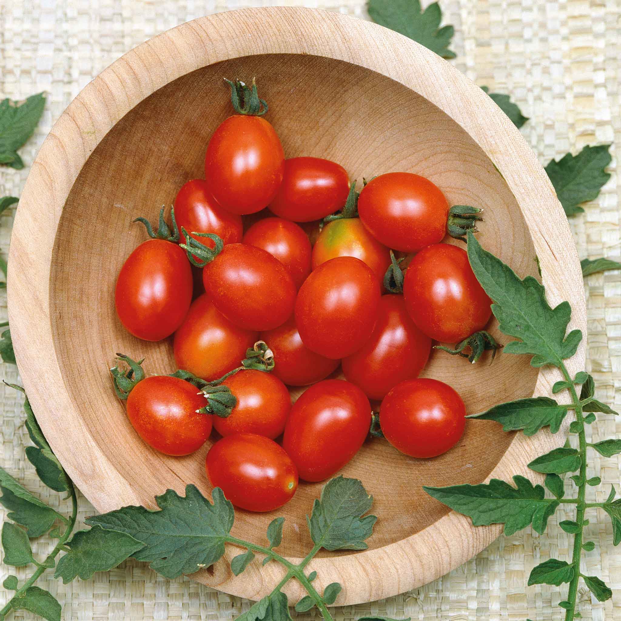 A cluster of red Principe Borghese tomatoes, collected in a wooden bowl.