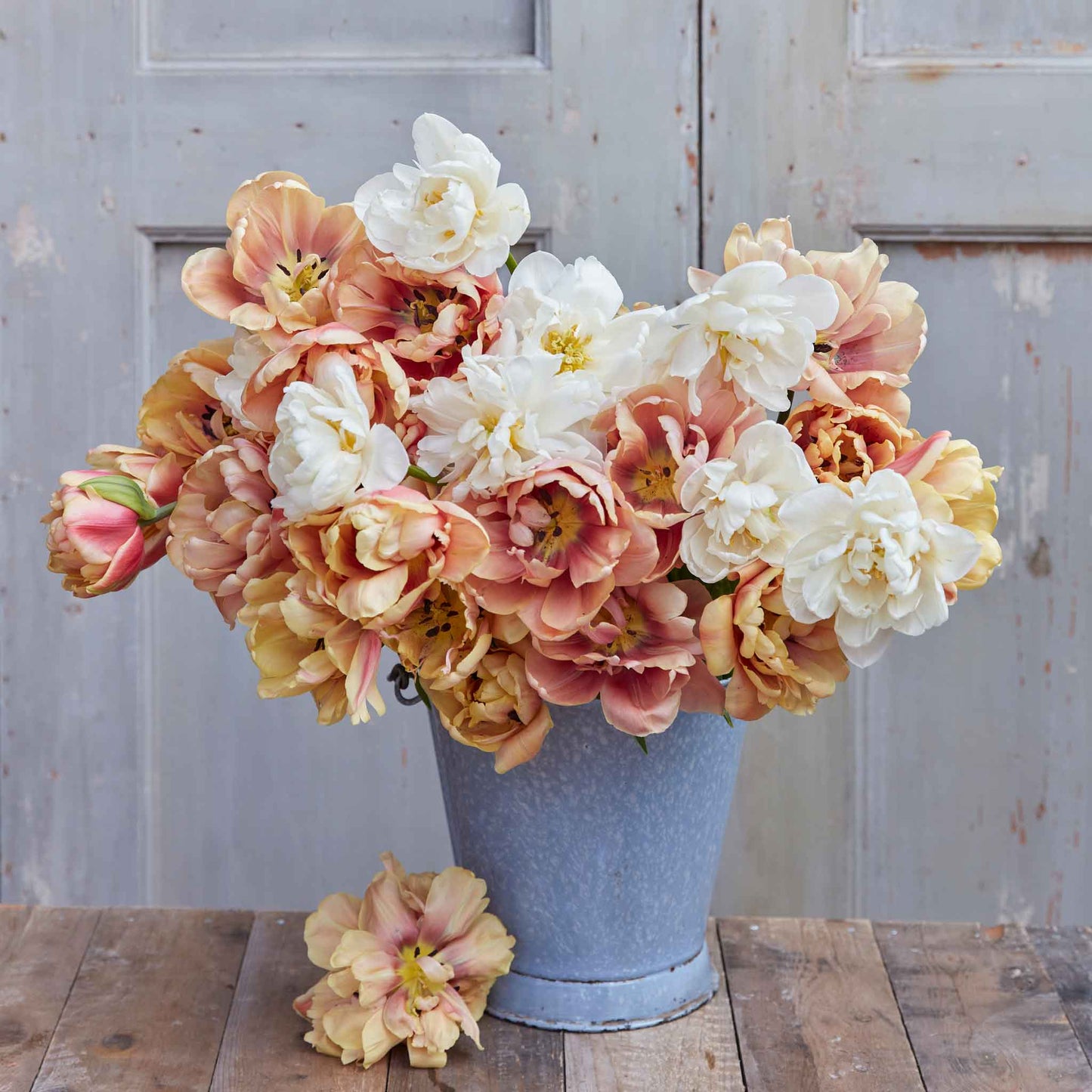 tulip chardonnay mix