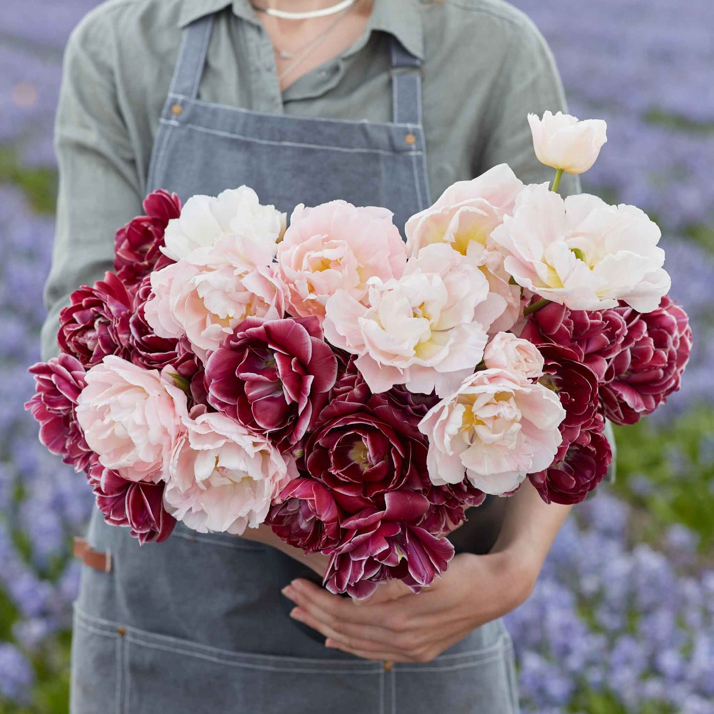 tulip double dutch mix