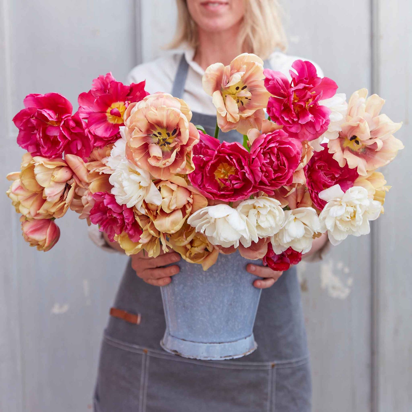 tulip garden party mix