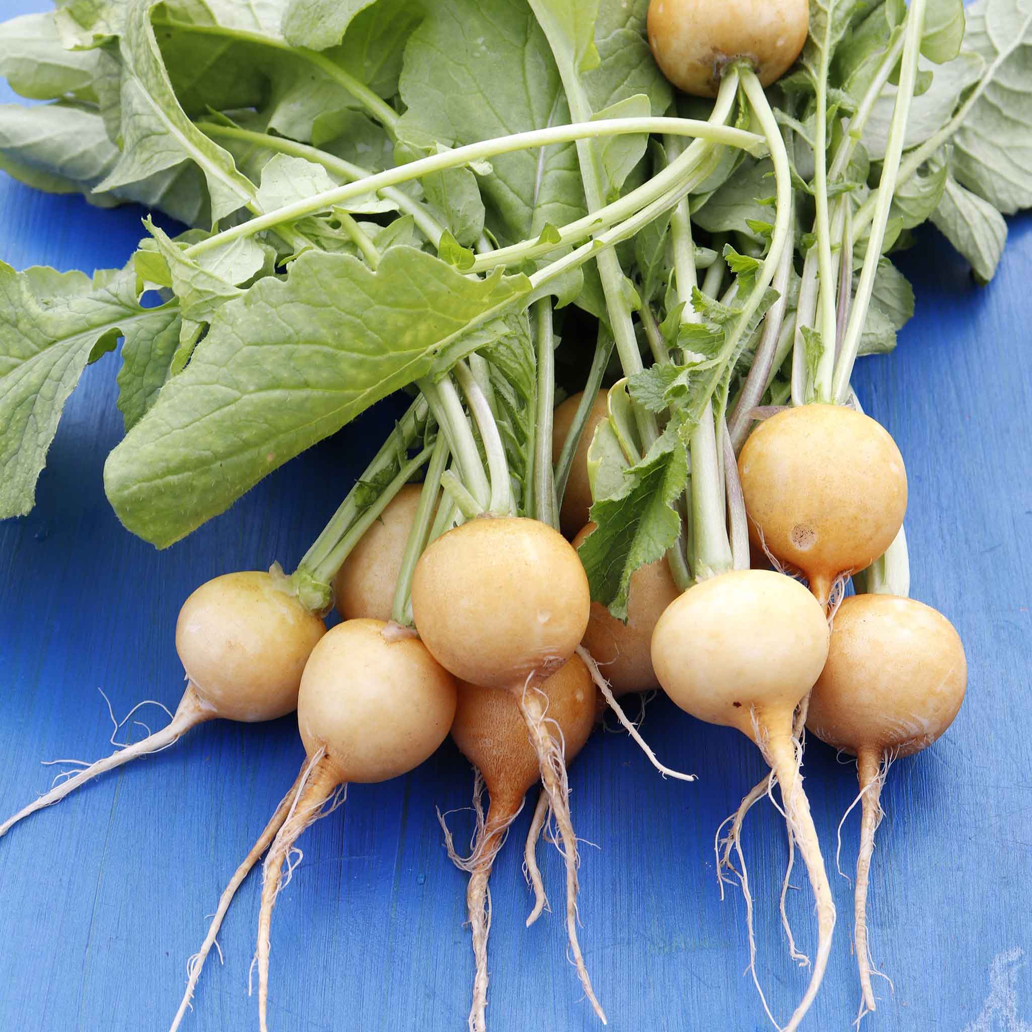 Golden Ball Turnip seeds shown in a small clear plastic packet with a yellow-white turnip.