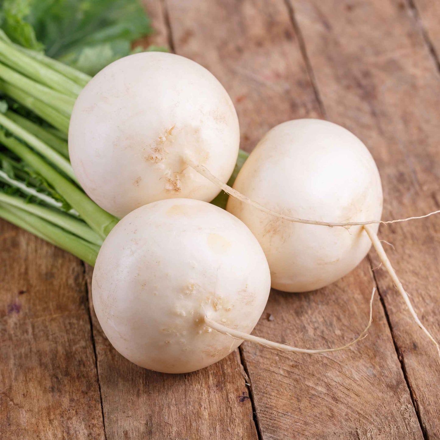 A vibrant, round, white Shogoin turnip with a smooth skin, captured close-up against a wooden background.
