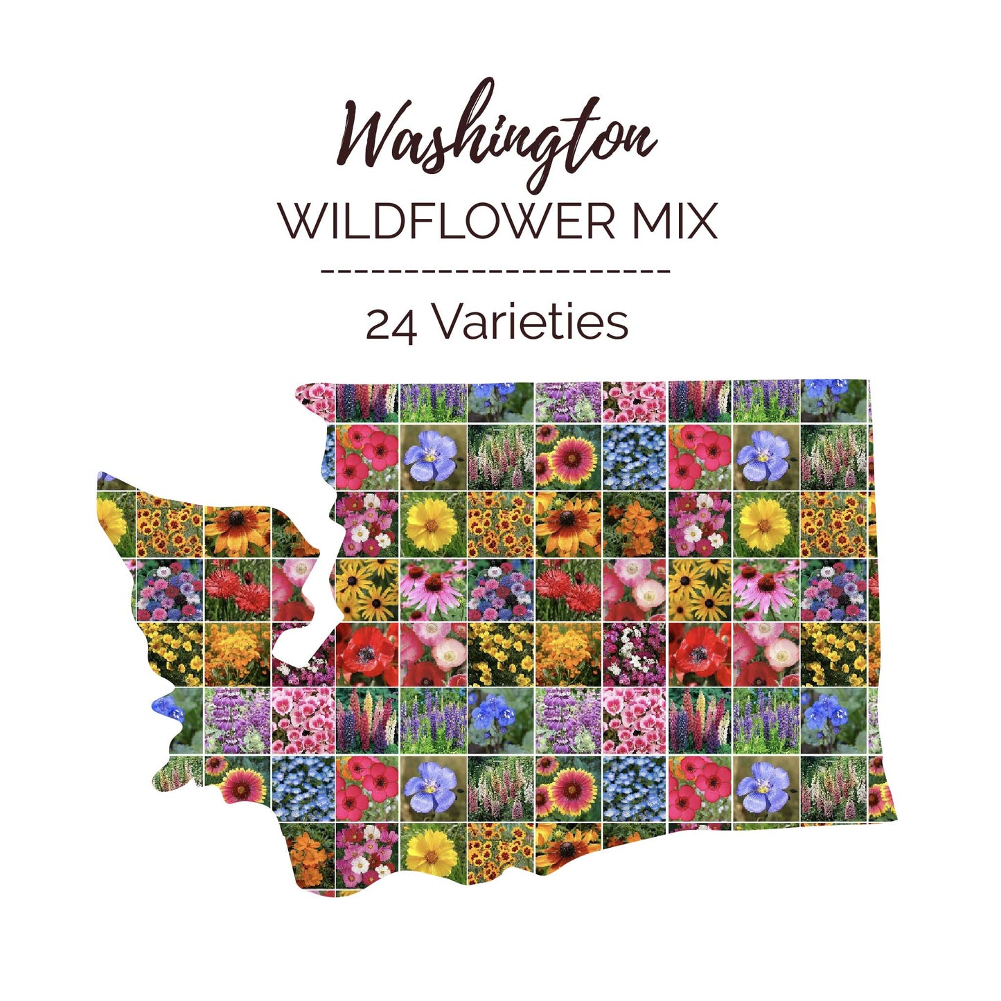 washington mix