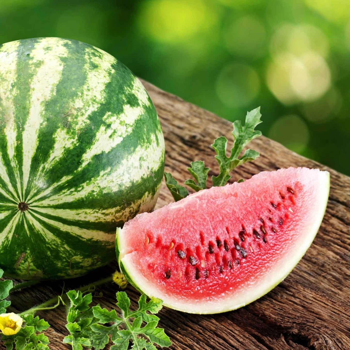 A cross-section of a Dixie Queen watermelon with red flesh and black seeds.