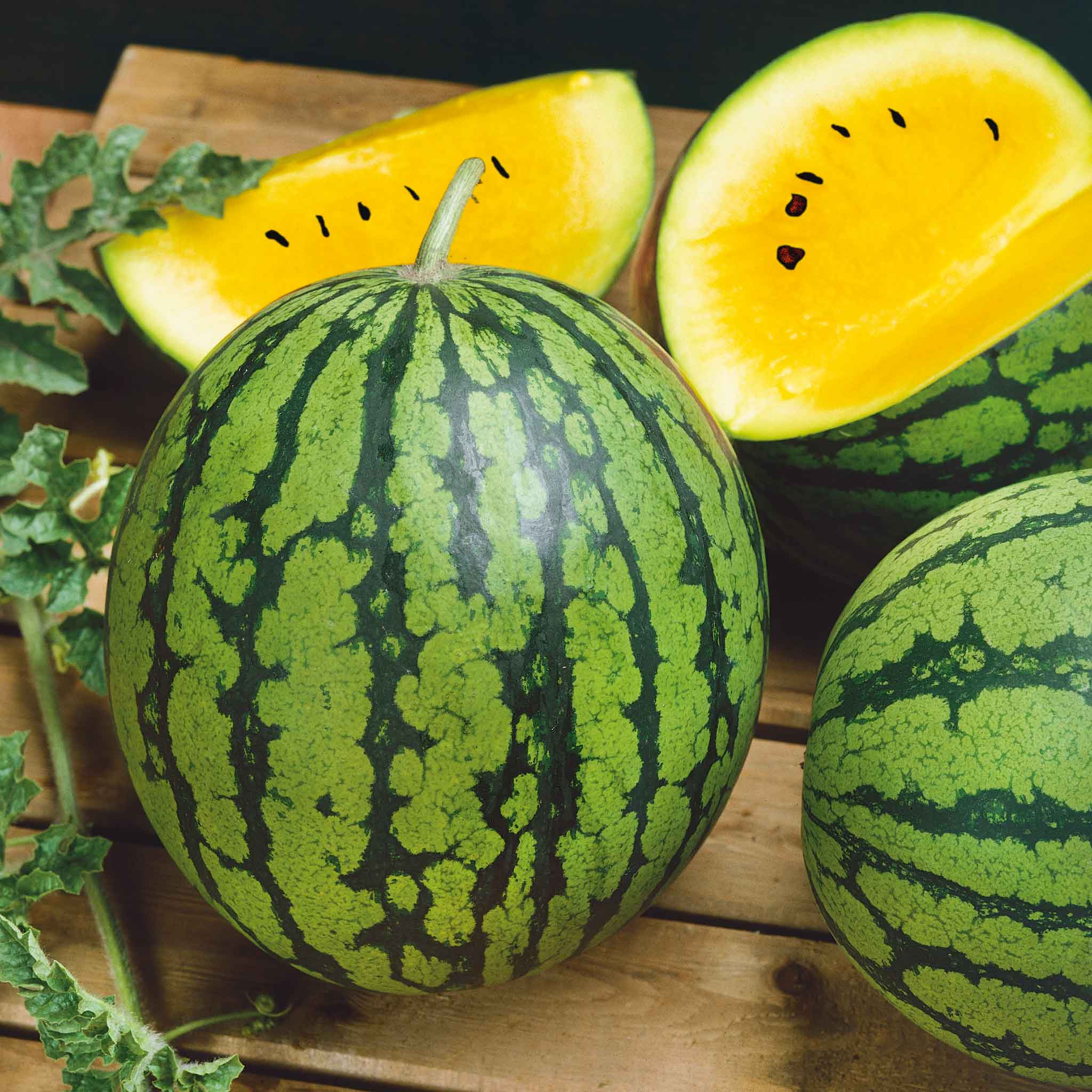 A Yellow Petite watermelon with a yellow flesh with a light green rind and dark green stripes, on a rustic wooden surface.