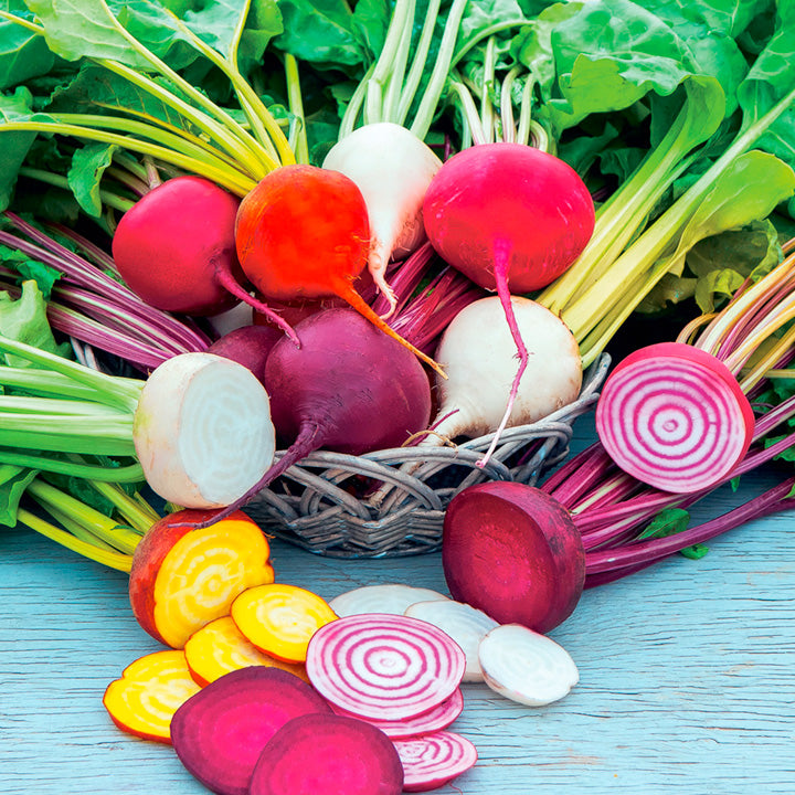 Rainbow Mix Beet