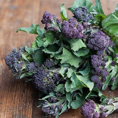 Purple Sprouting Broccoli