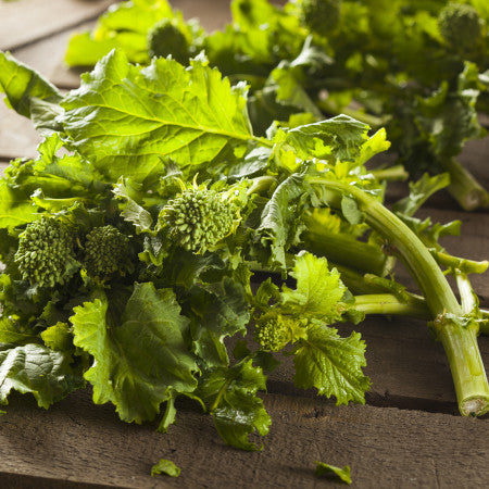 Broccoli-Raab Seeds - Spring Rapini | Vegetable Seeds in Packets & Bulk |  Eden Brothers