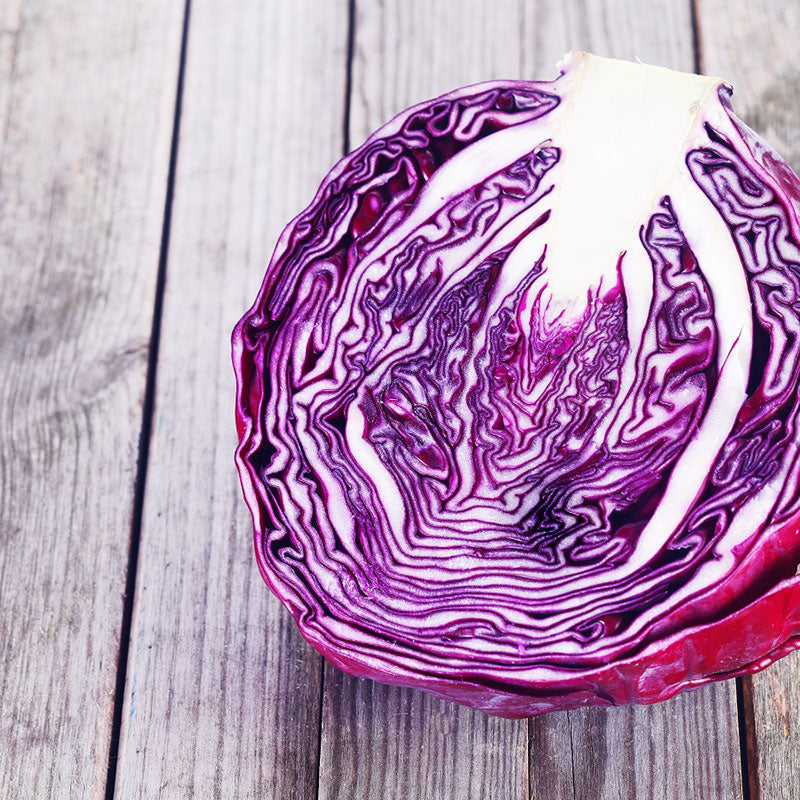 Red Acre Cabbage