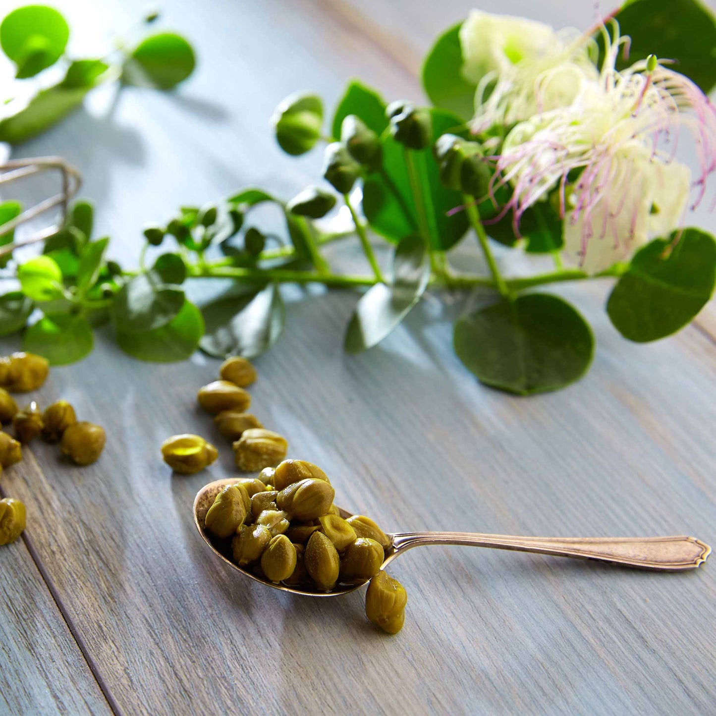 Close-up of small green caper seeds spilling out of a spoon resting next to caper leaves.