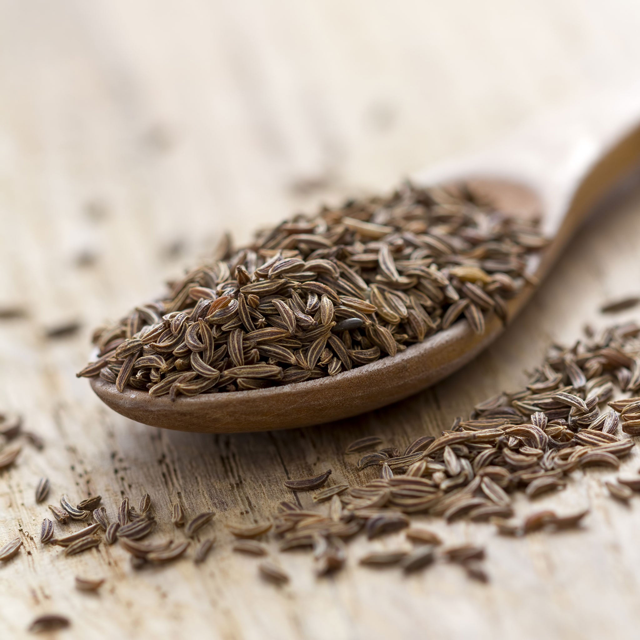 Caraway Seeds Herb Seeds In Packets Bulk Eden Brothers Caraway Seeds Herb Seeds In Packets Bulk Eden Brothers