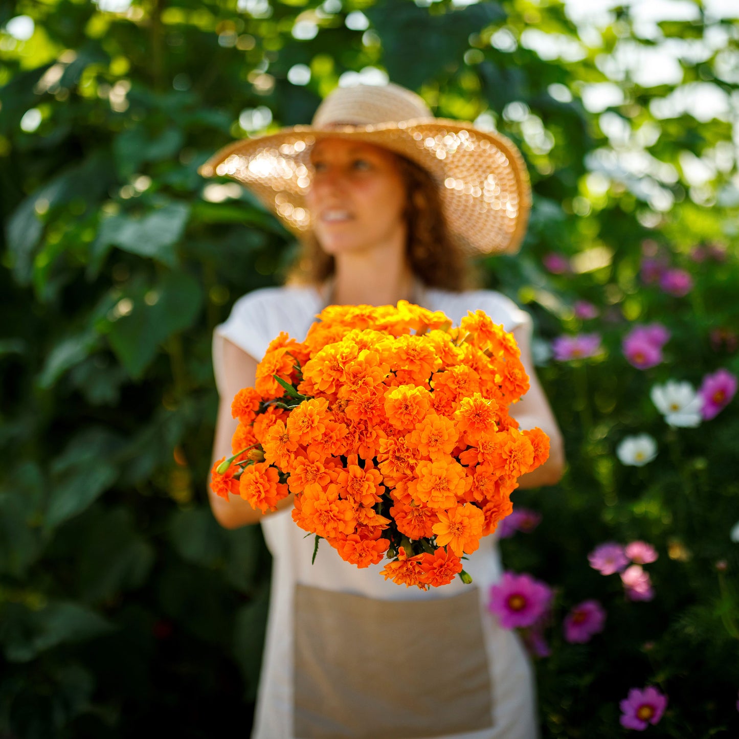 french marigold tangerine