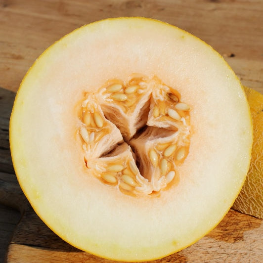 melon ananas