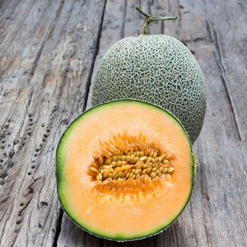 Melon Seeds - Honeydew Orange - Ounce, Vegetable Seeds, Eden Brothers