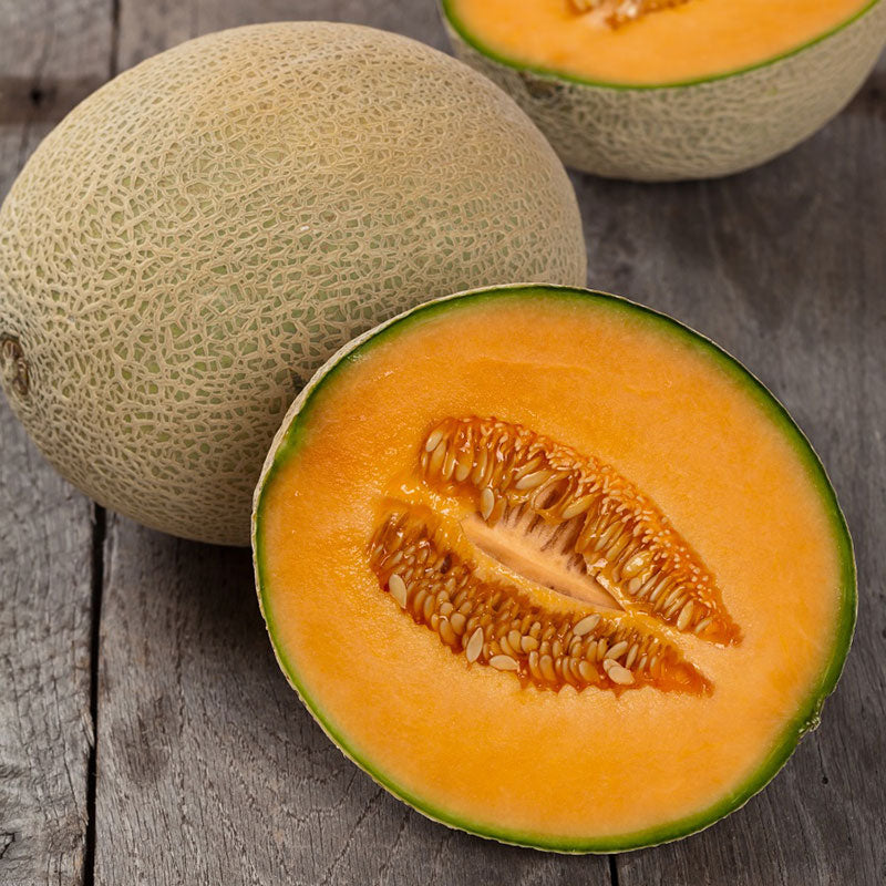 melon seed hales best