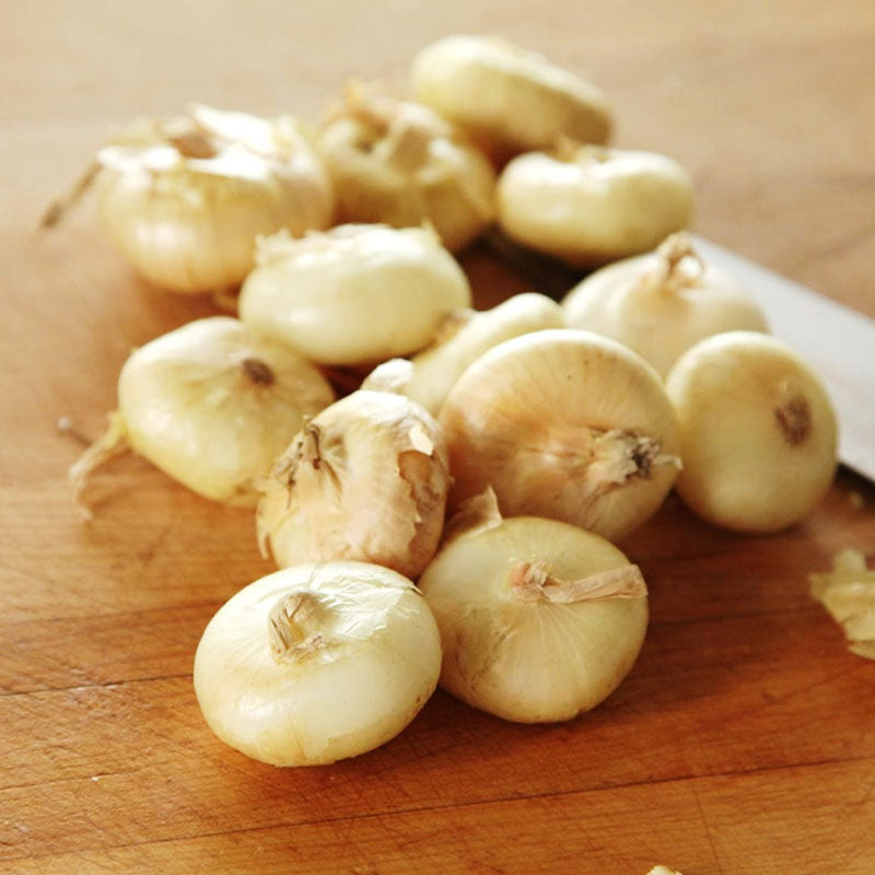 cipollini yellow onion