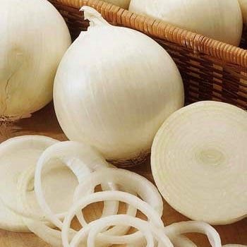 white spanish ringmaster onion