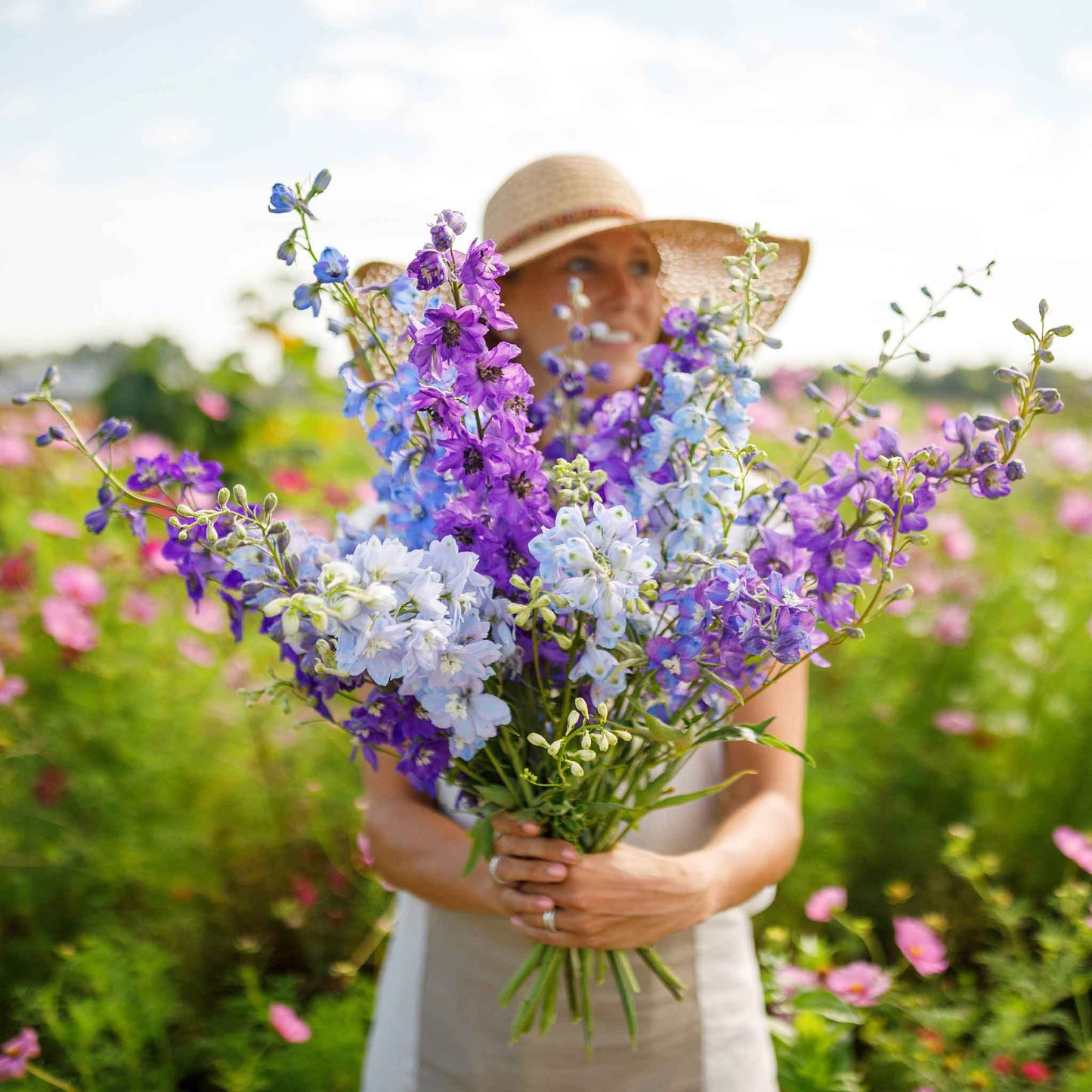 rocket larkspur tall mix