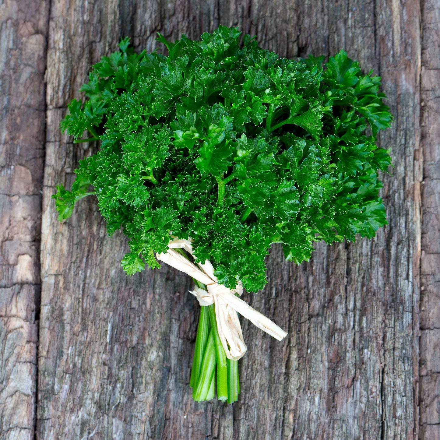 Curled Parsley