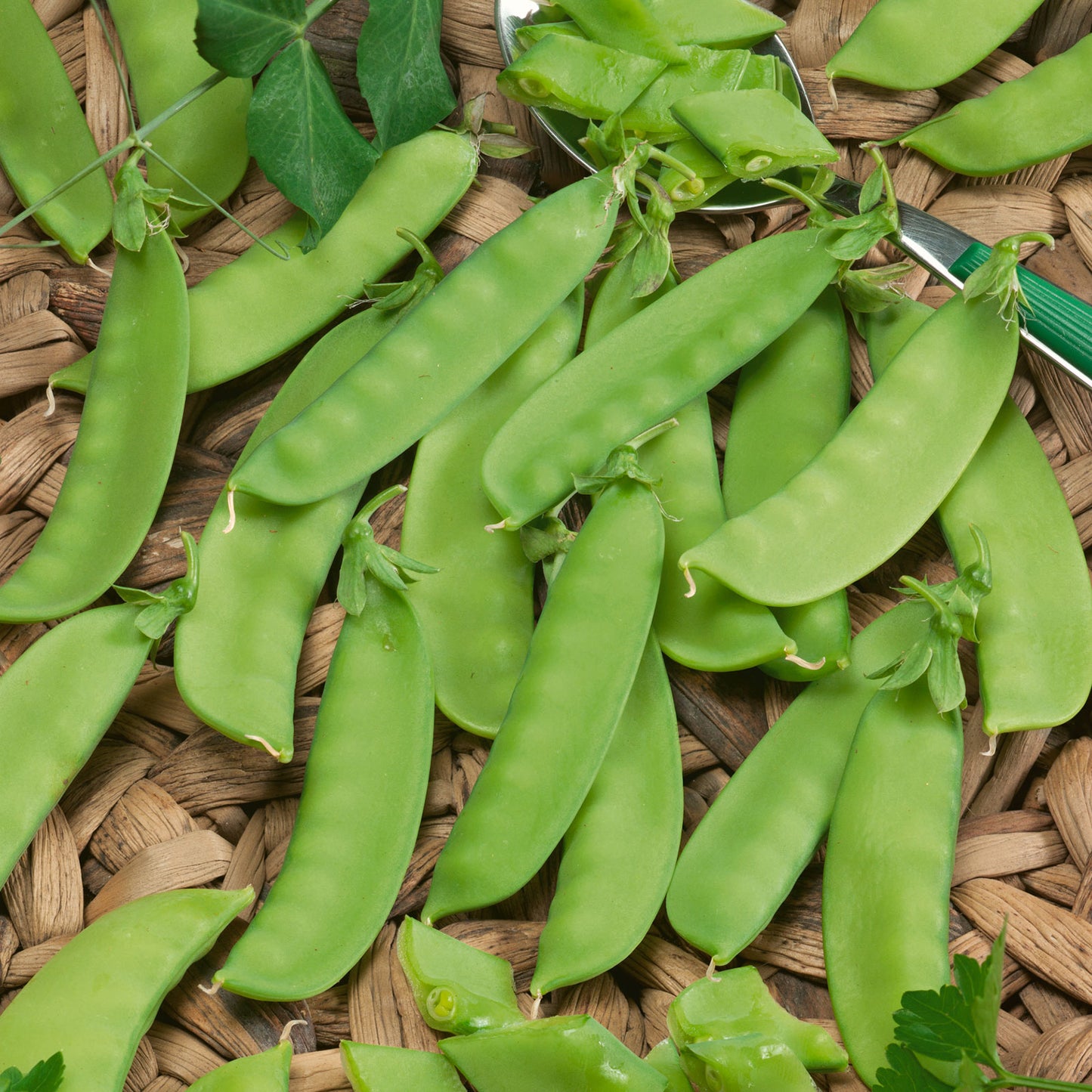 organic pea mammoth melting