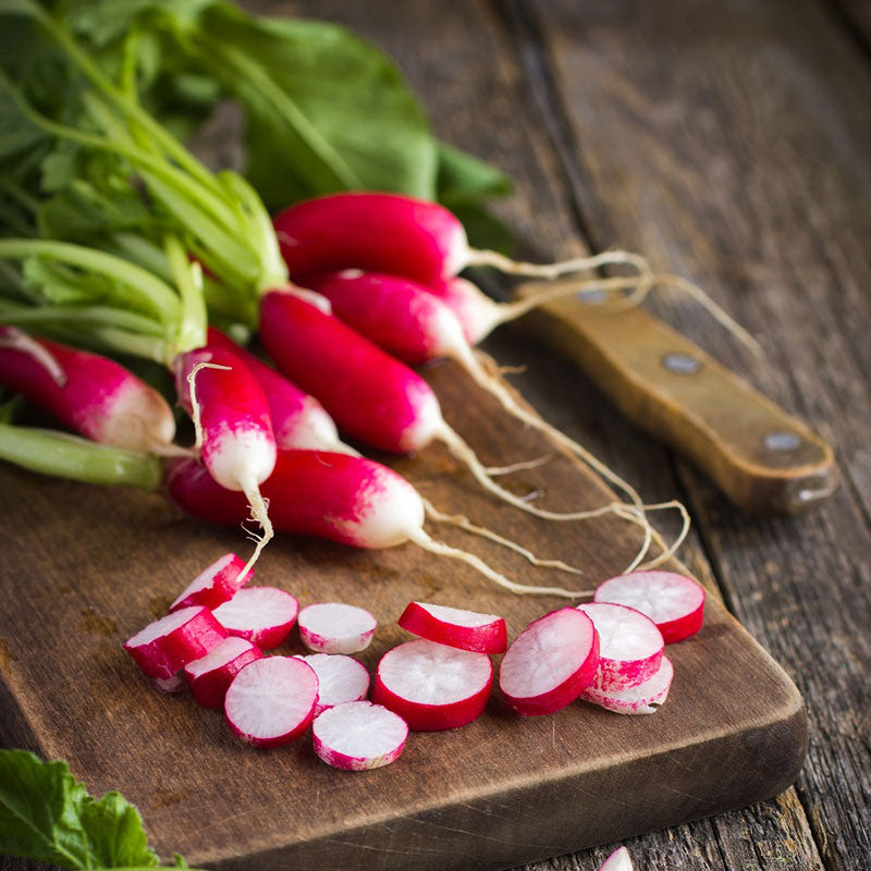 radish french breakfast