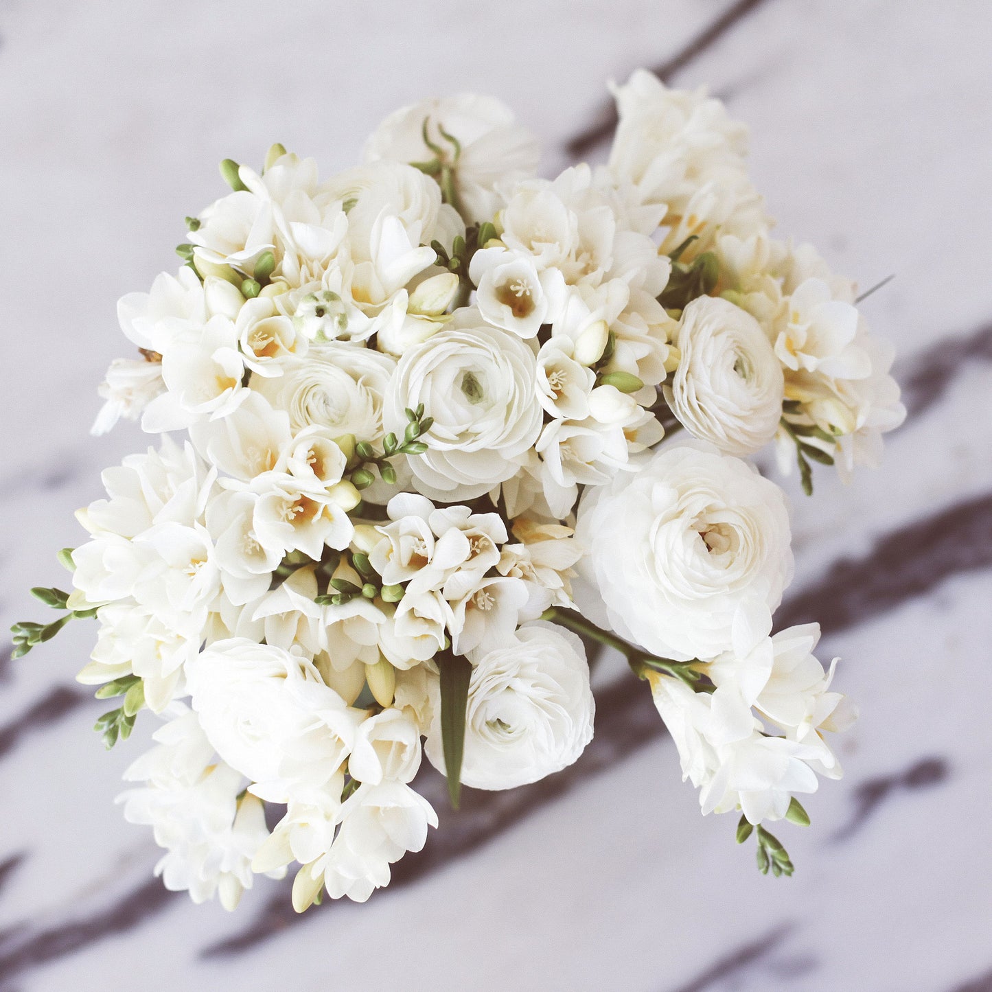 ranunculus freesia white mix