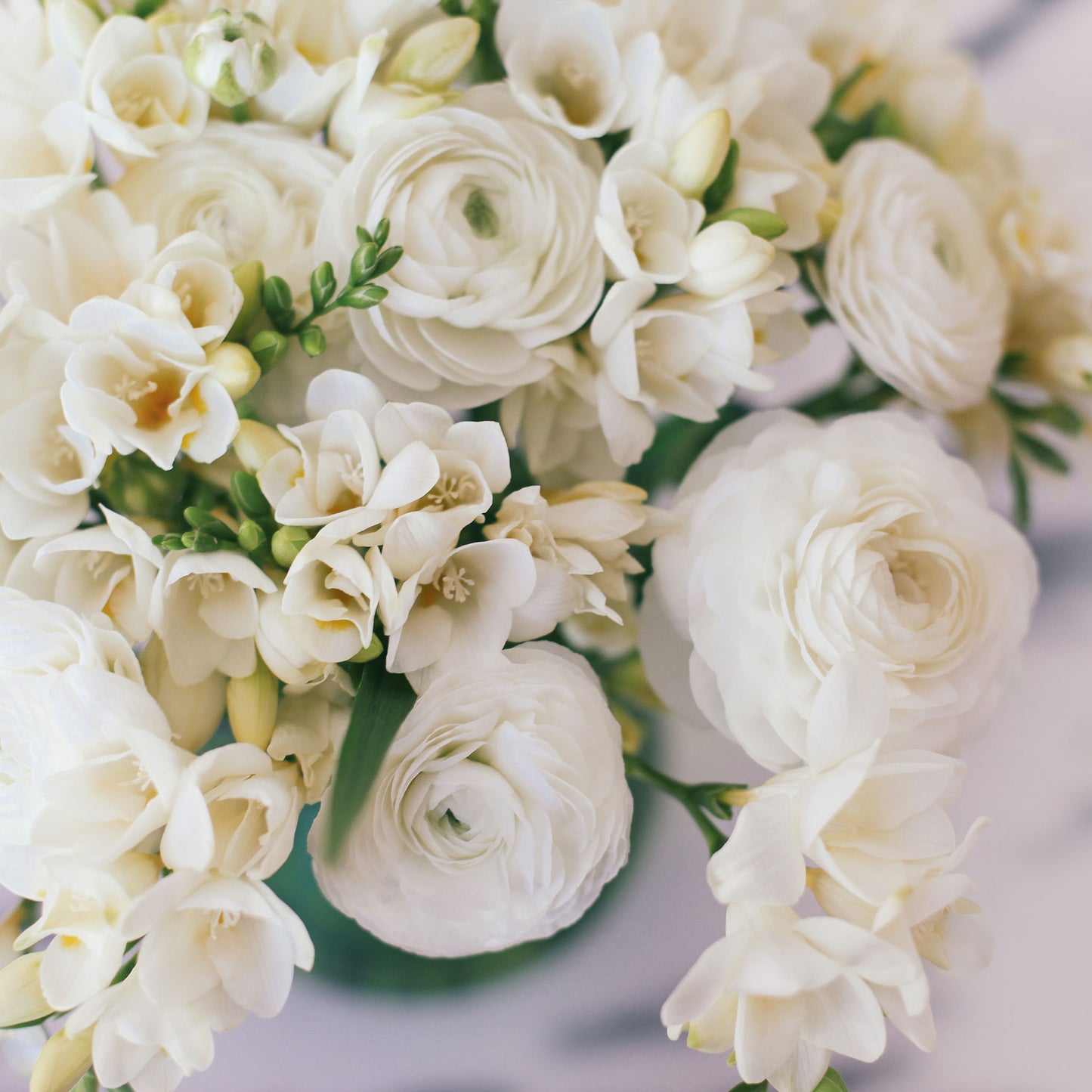 ranunculus freesia white mix