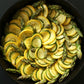golden zucchini squash