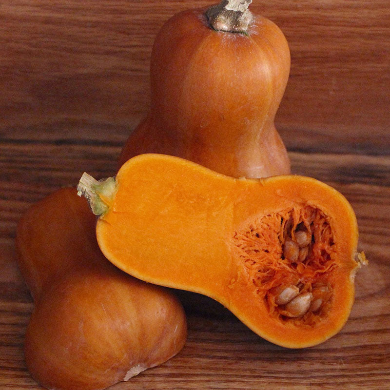 honeynut squash