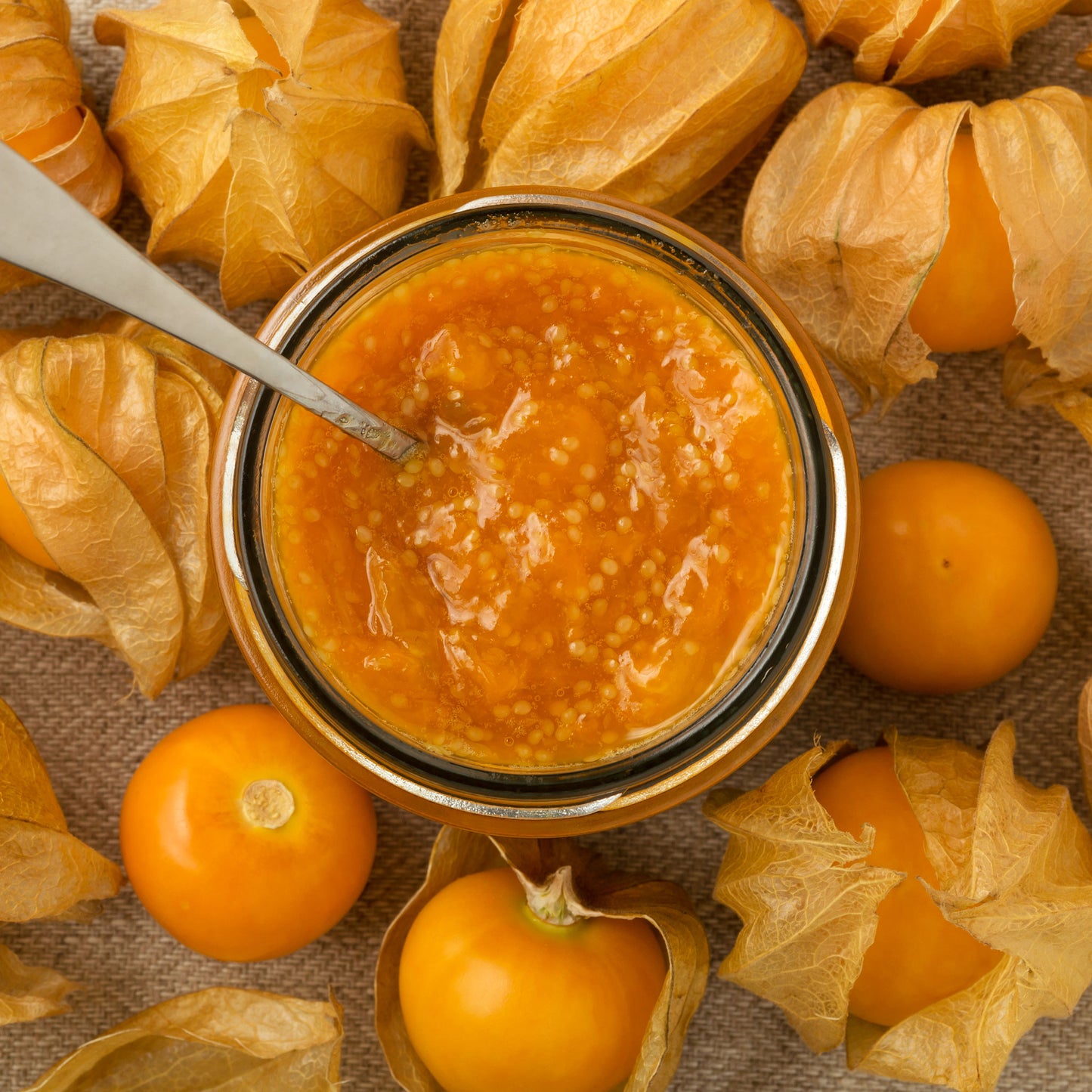 A bowl of salsa made with Ground Cherry tomatillos.