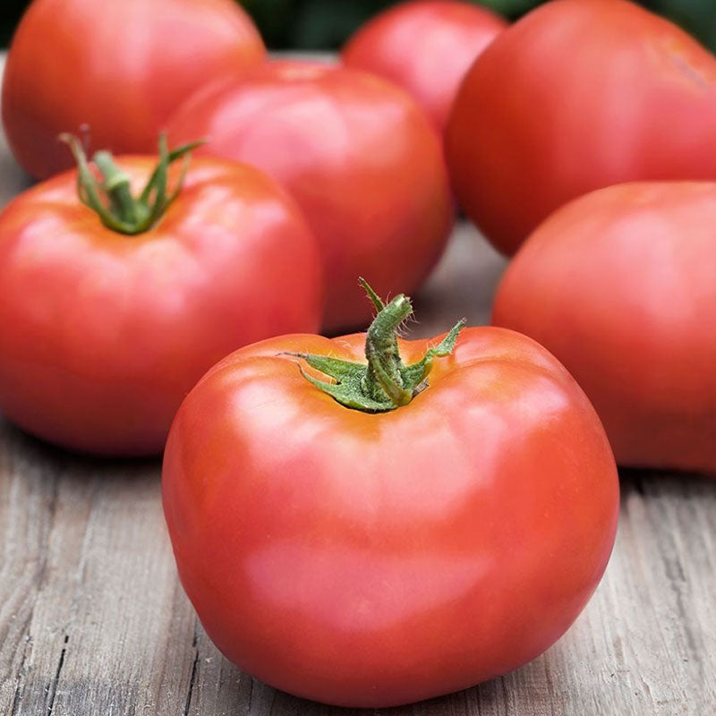 atkinson tomato