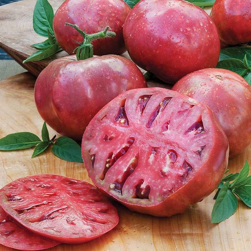 purple cherokee tomato