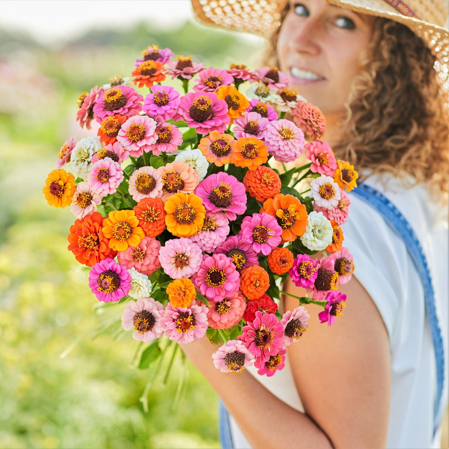 button box zinnia