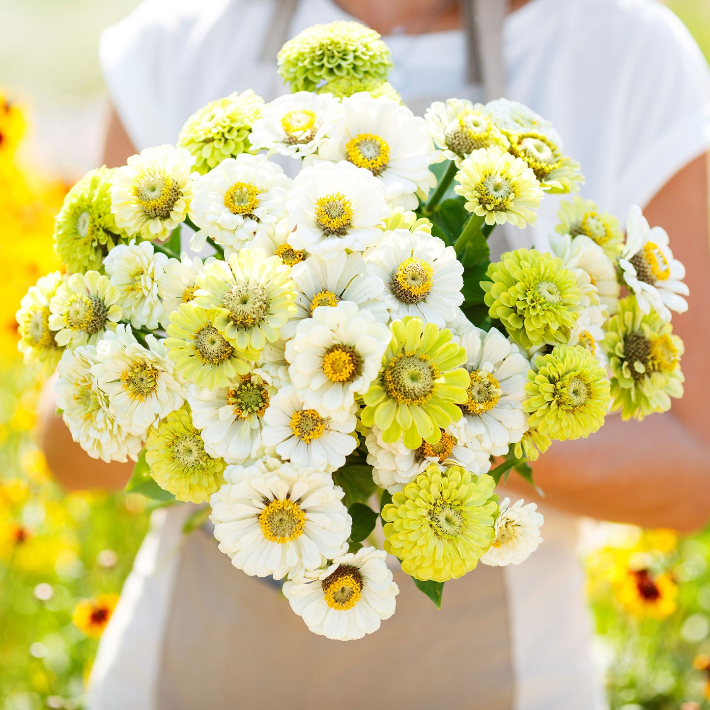 zinnia fresh mix