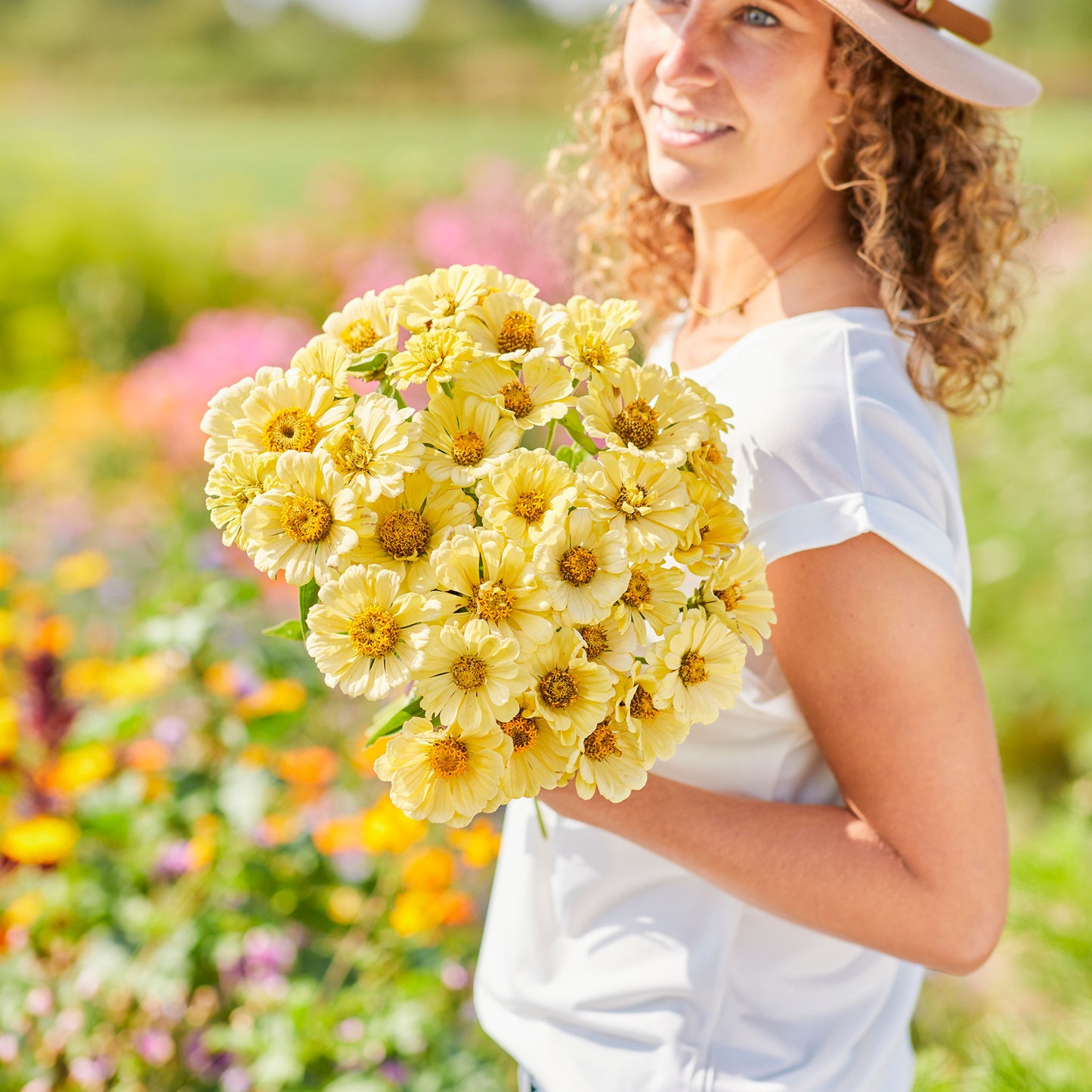 zinnia isabellina