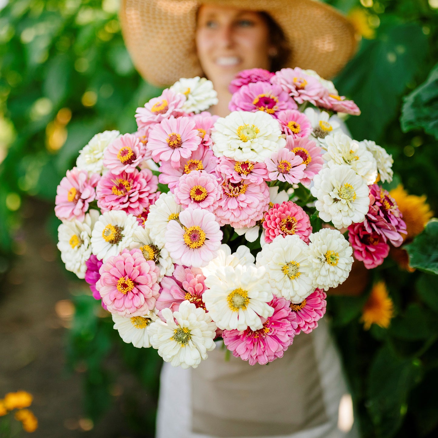 zinnia romantic mix