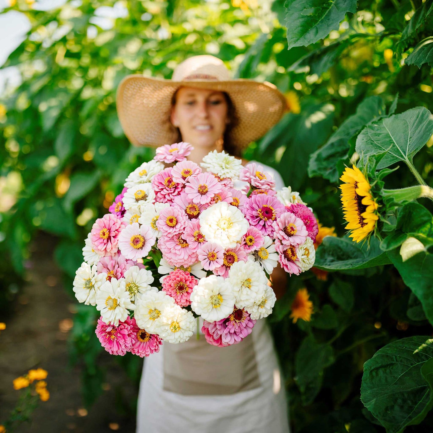 zinnia romantic mix