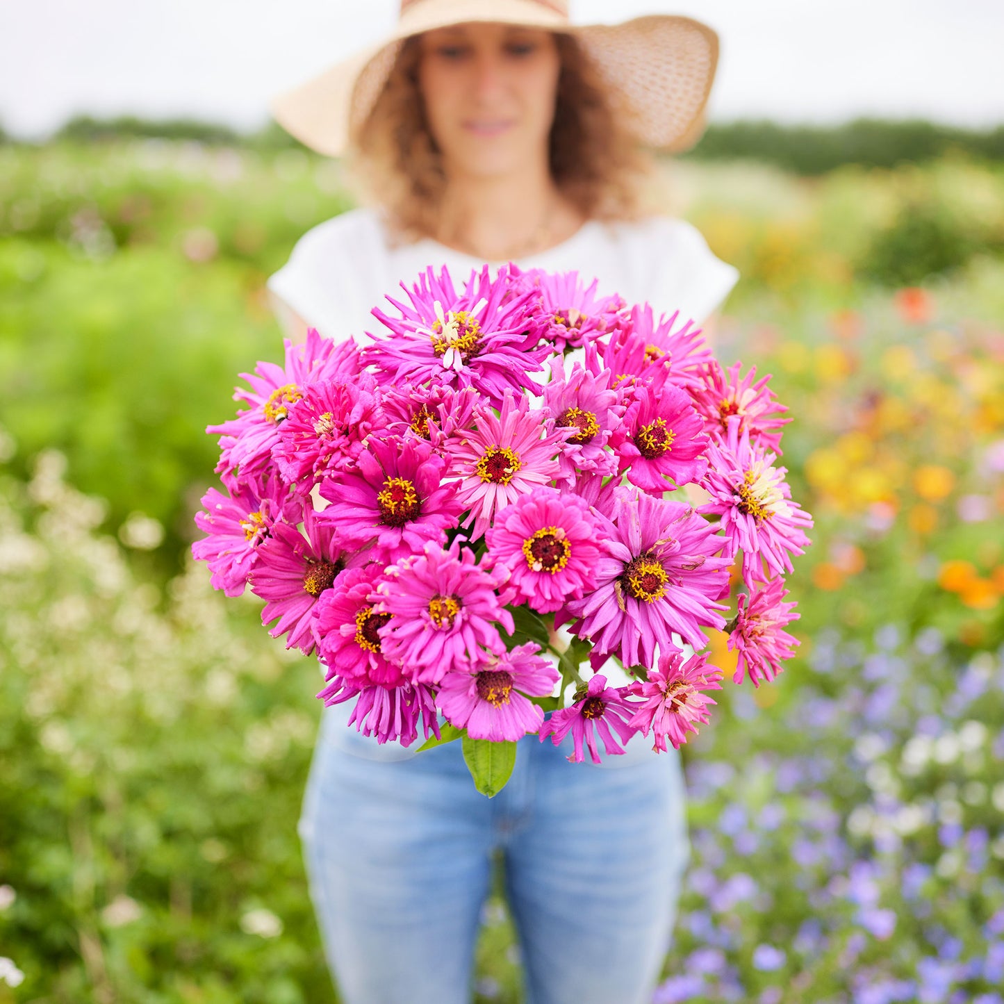 lilac emperor super cactus zinnia 