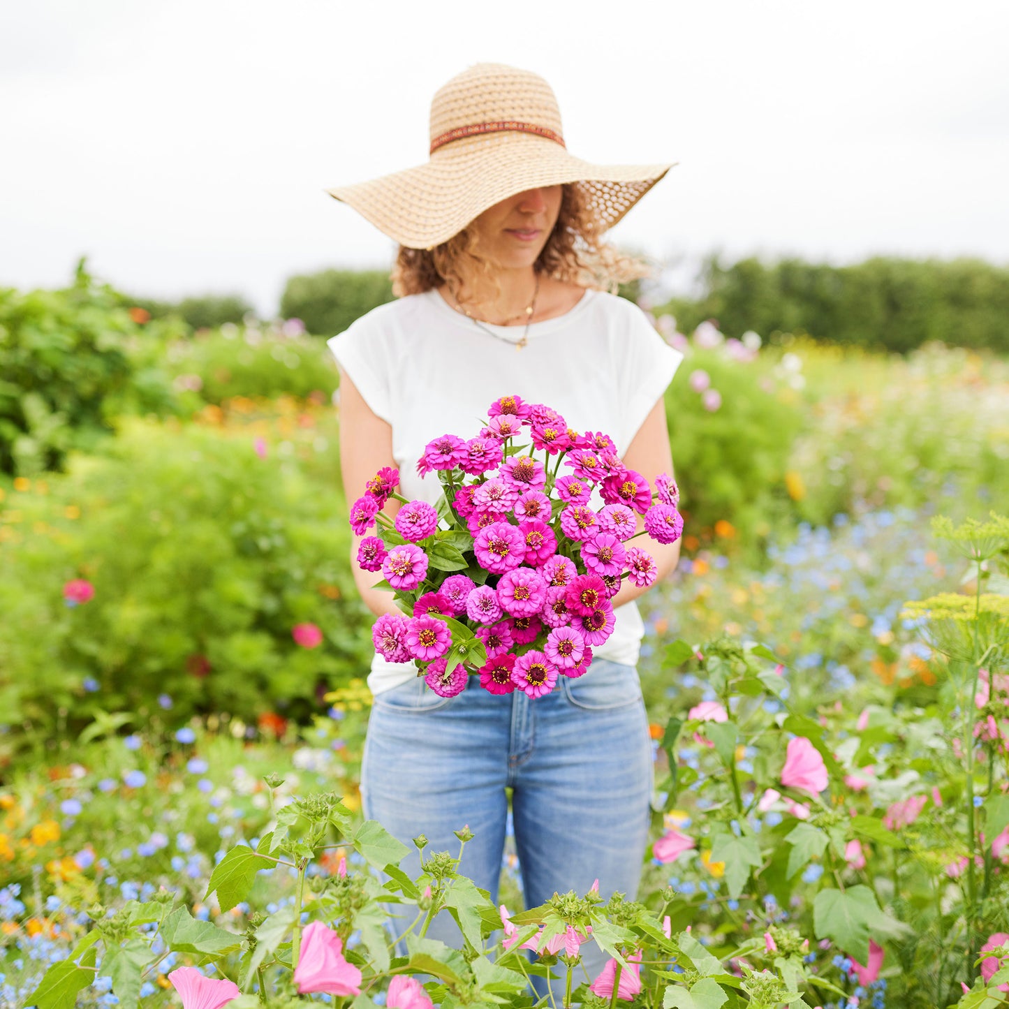 Person holding a bouquet of lilliput purple zinnia flowers in a field