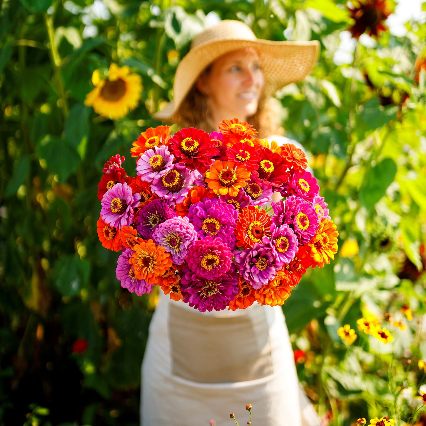 zinnia purple dream mix