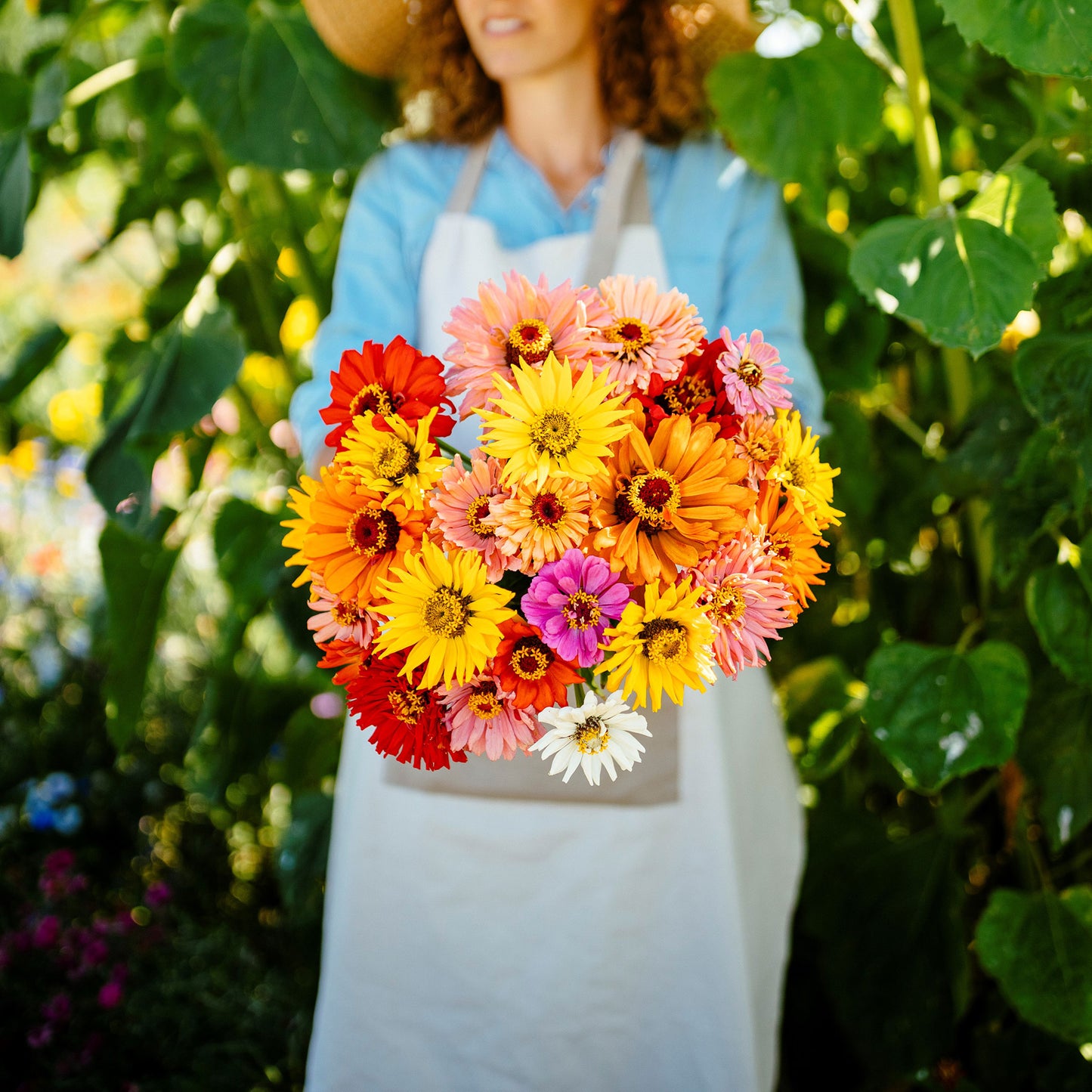 super cactus mix zinnia
