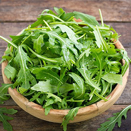 organic arugula seeds
