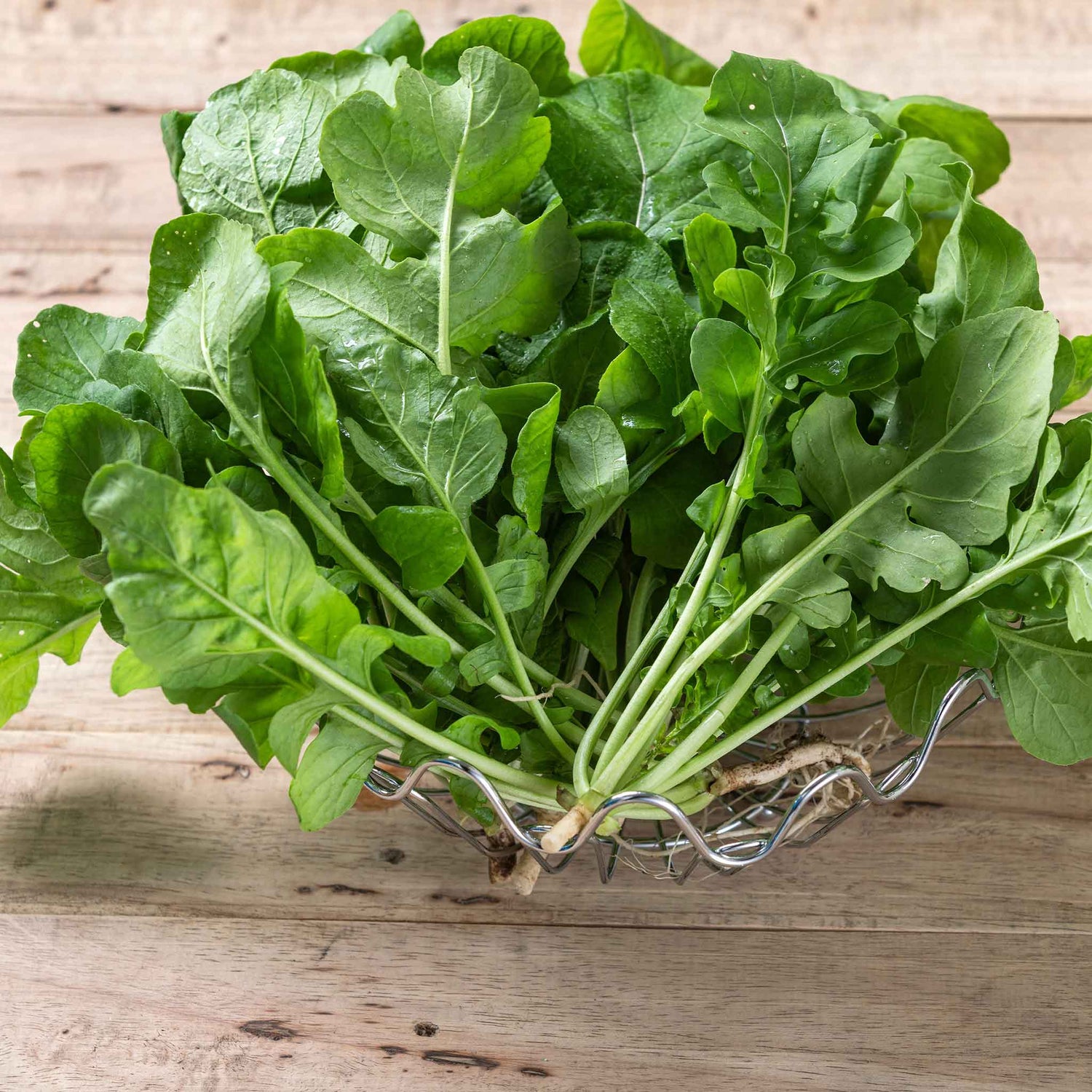 Arugula Seeds