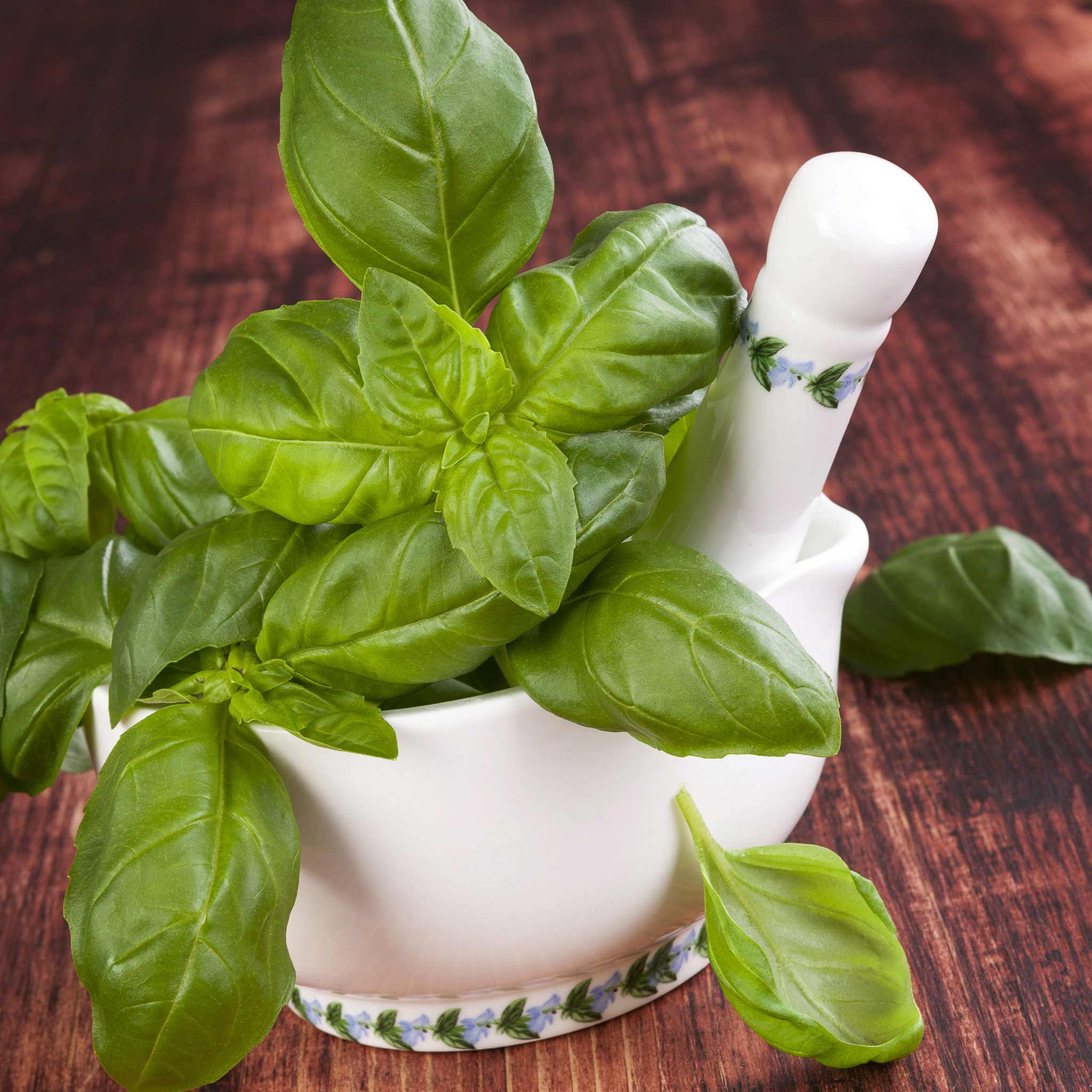 basil seeds