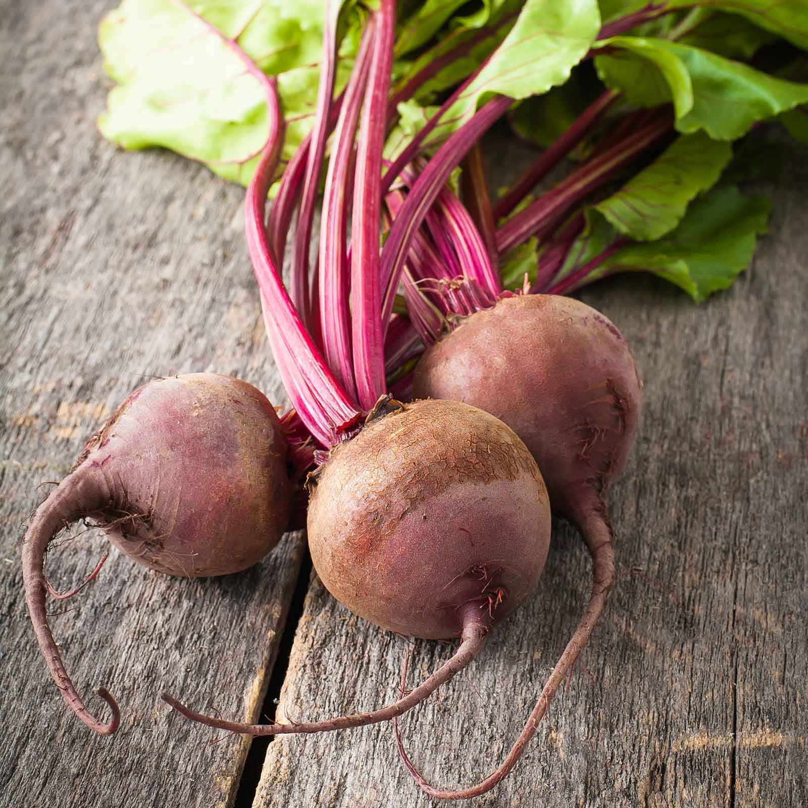 heirloom beet seeds