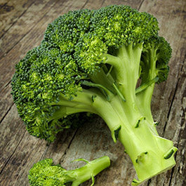 Broccoli Seeds (Heirloom)