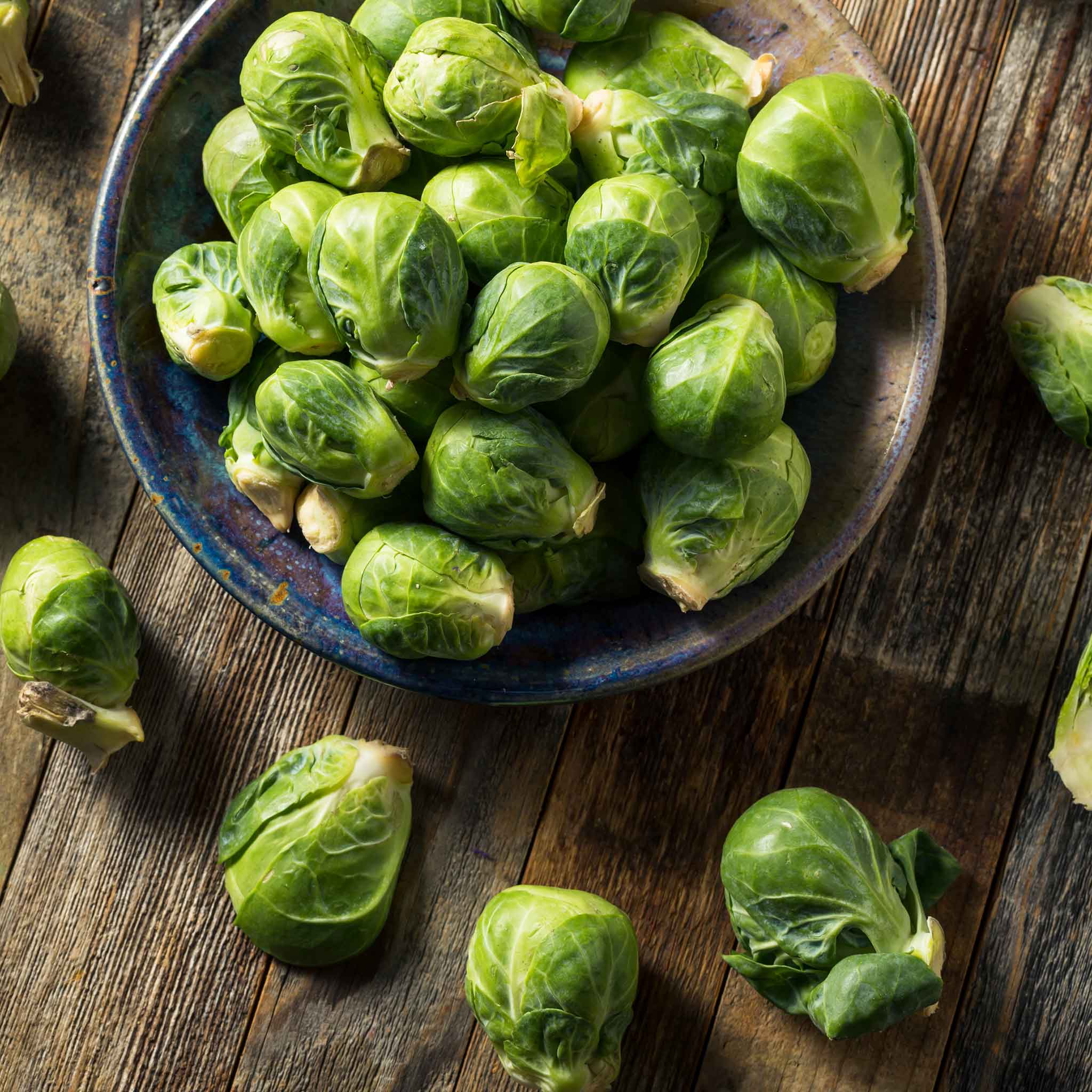 heirloom brussels sprouts seeds